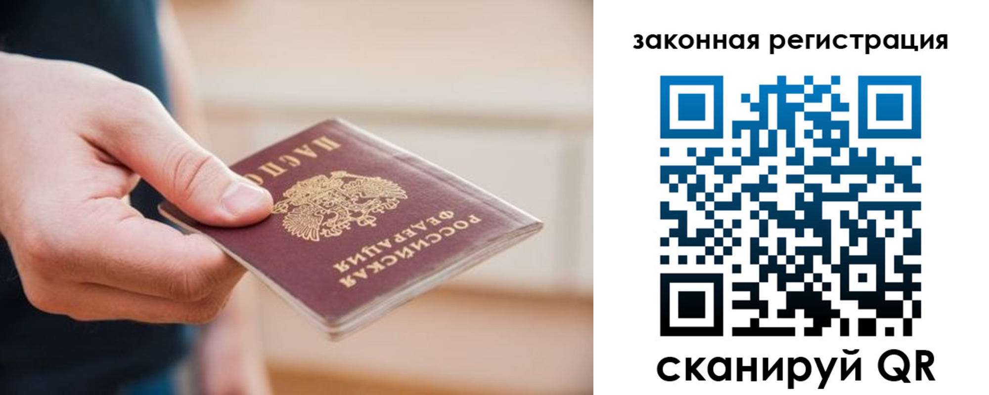 прописка в Курске